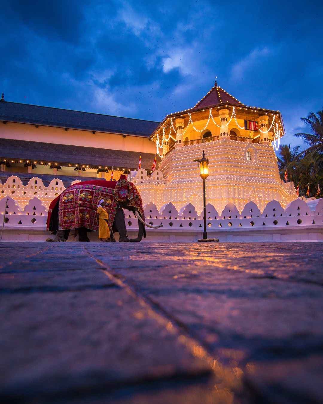 Visit the Temple of the Tooth