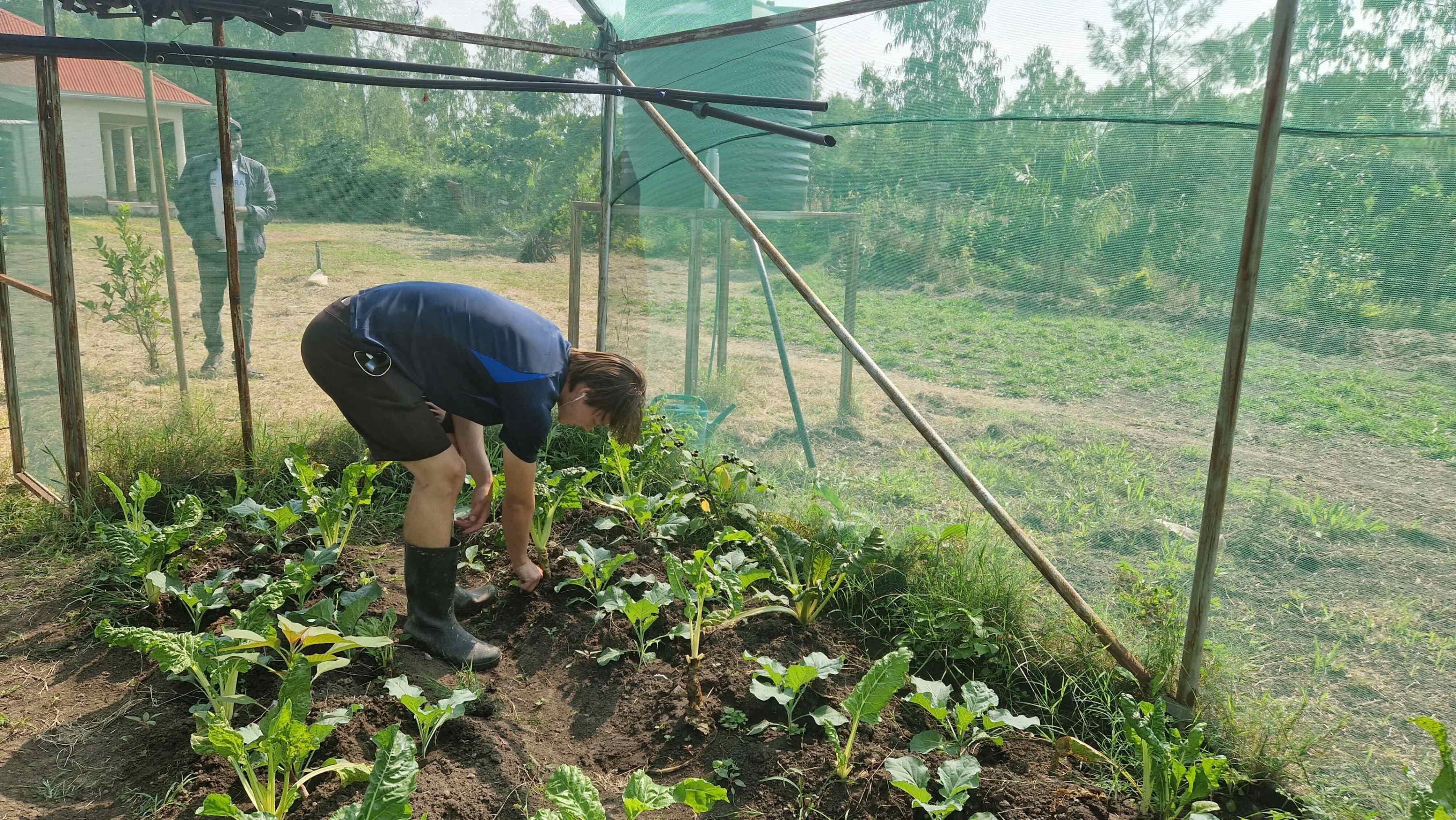 Community Farming Project in Ahero