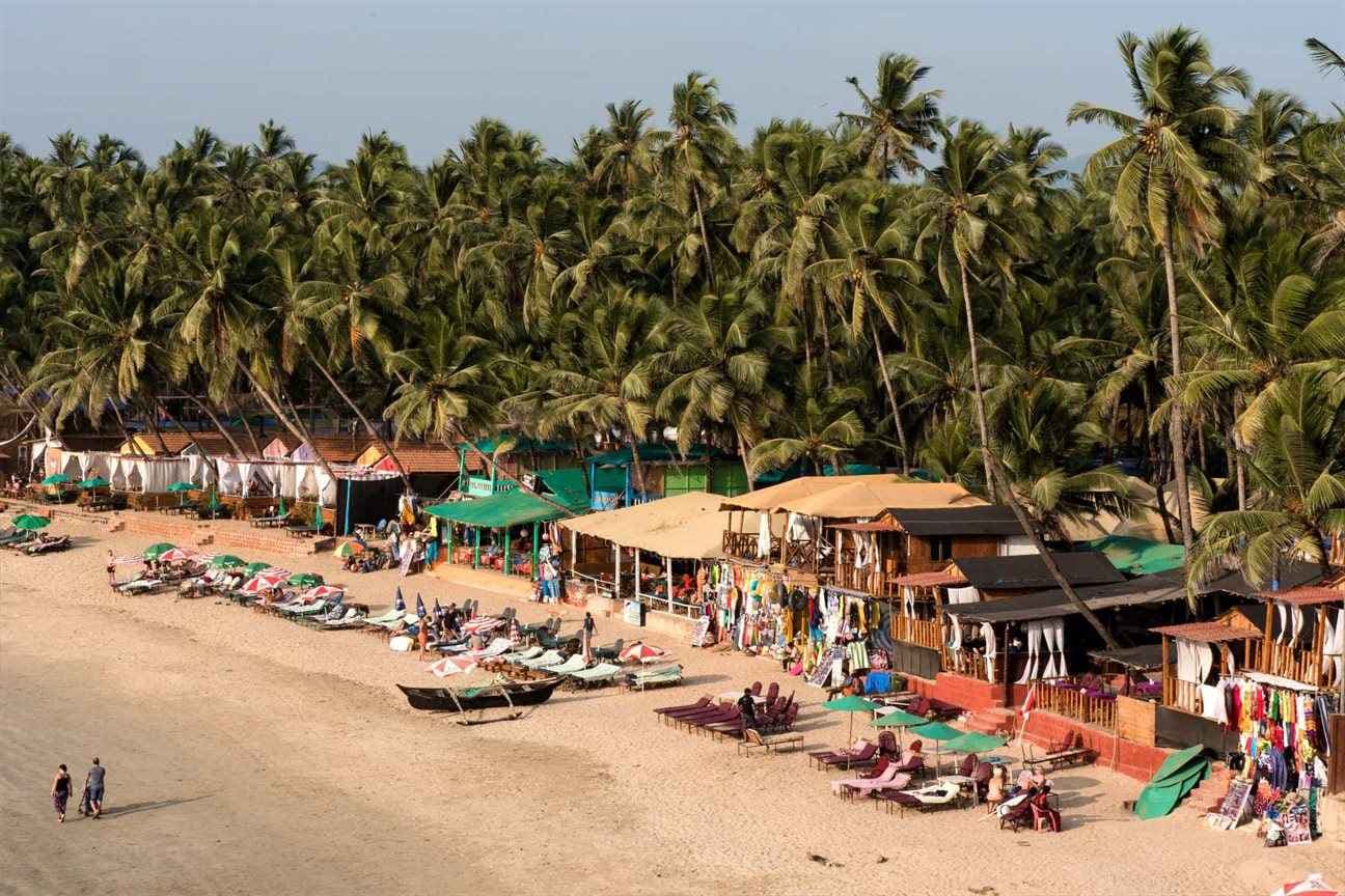 Relax on the beaches of Agonda or Arambol