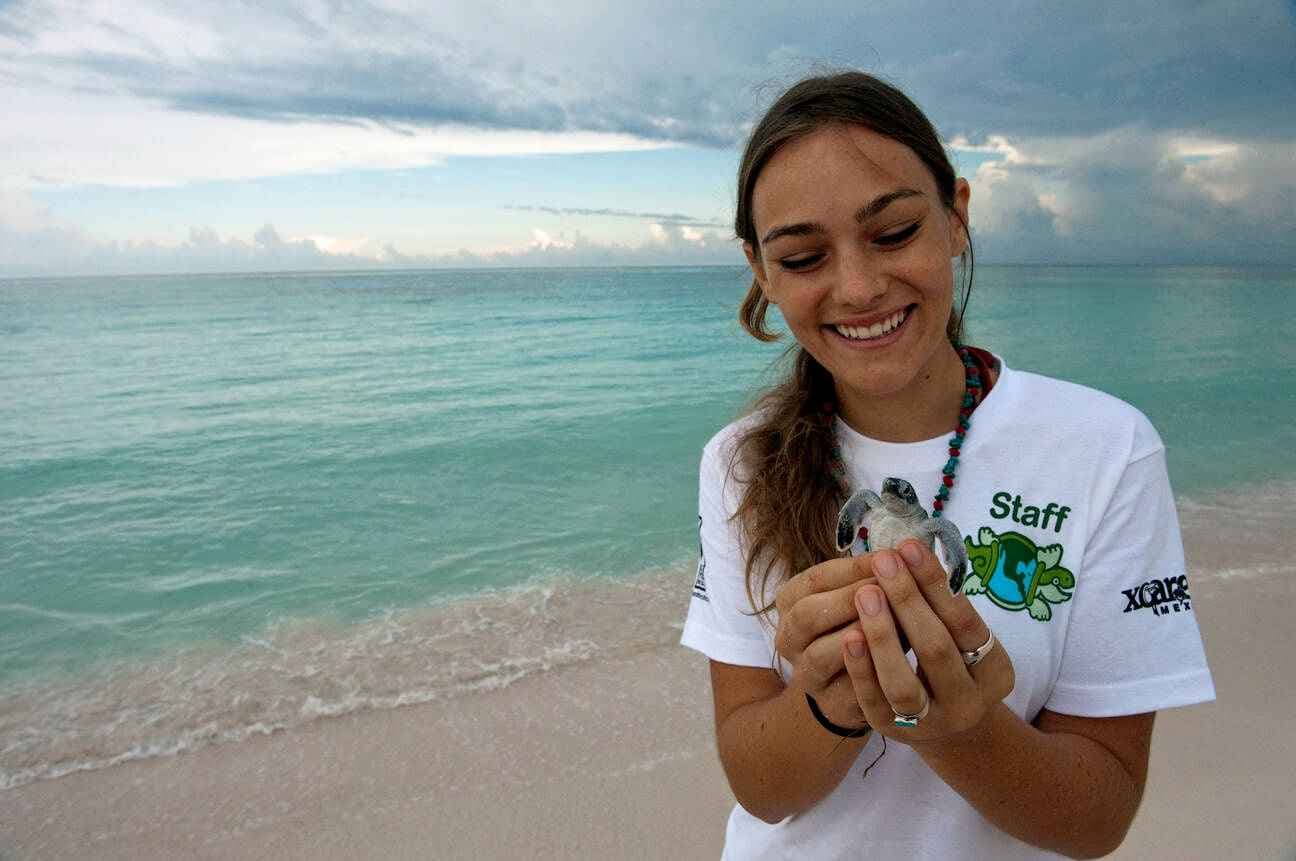 Sea Turtle Conservation in Bali