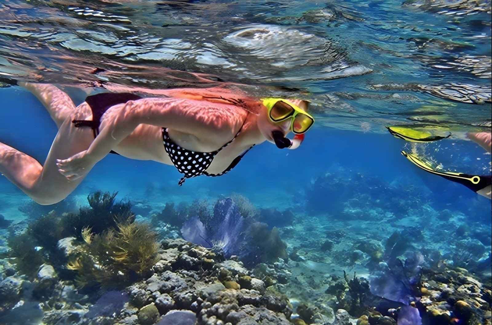 Snorkelling at Crystal Bay