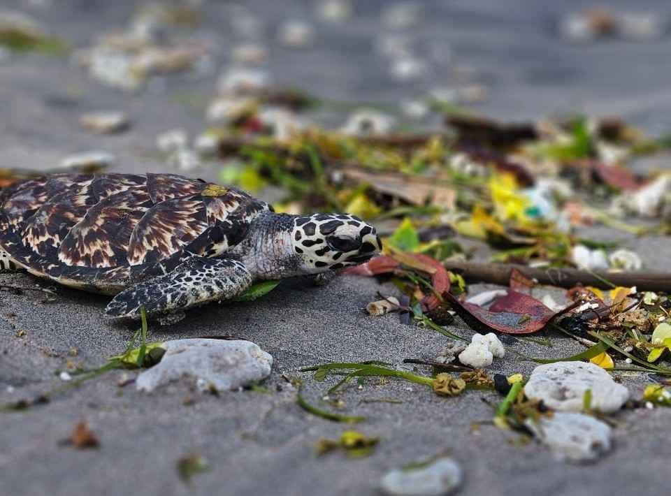 Make a tangible impact