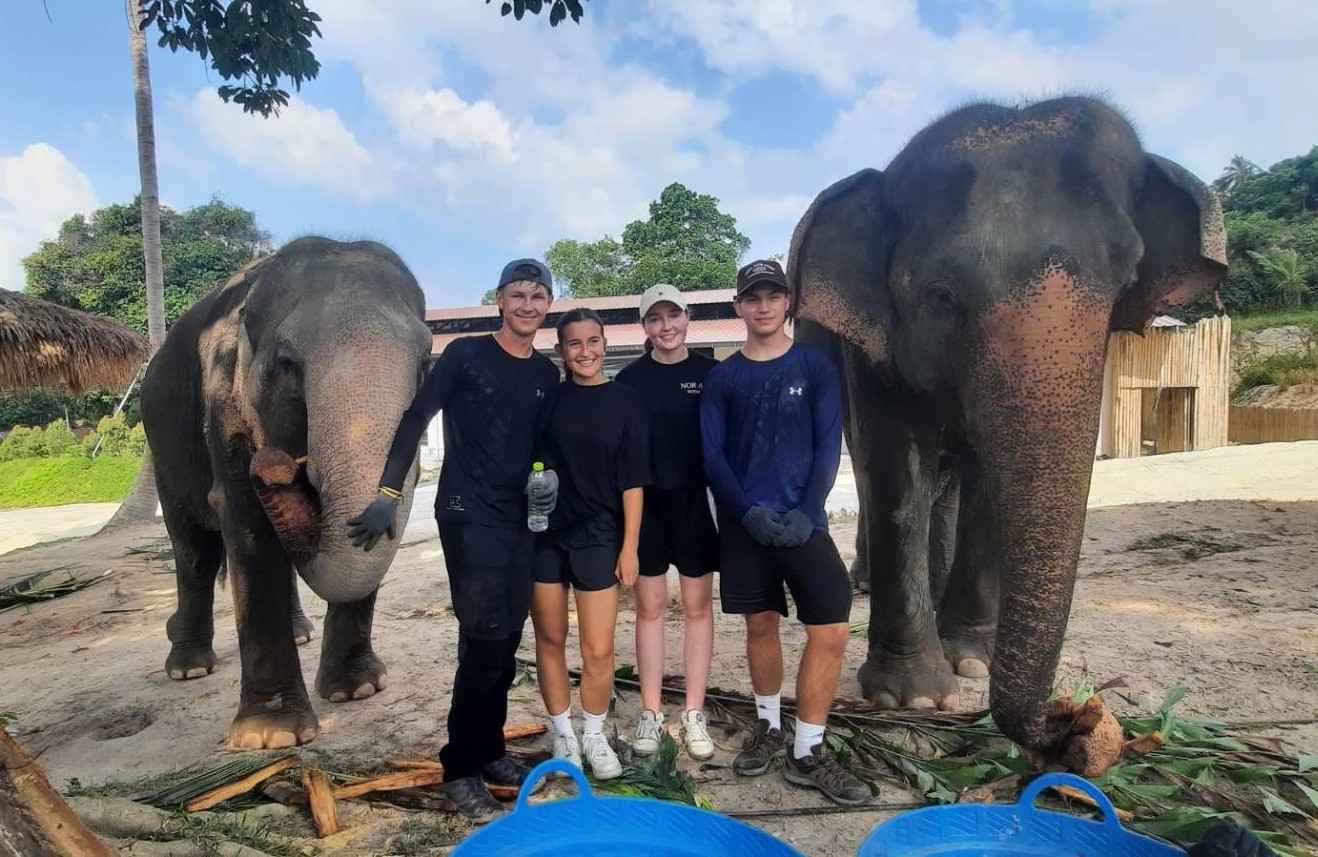 Elephant Care in Koh Samui