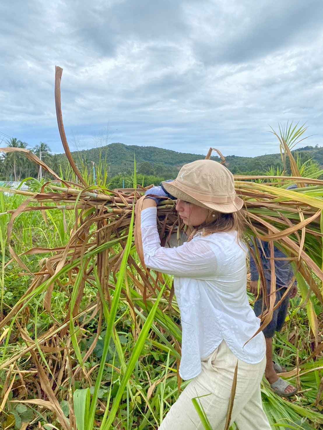 An experience immersed in nature