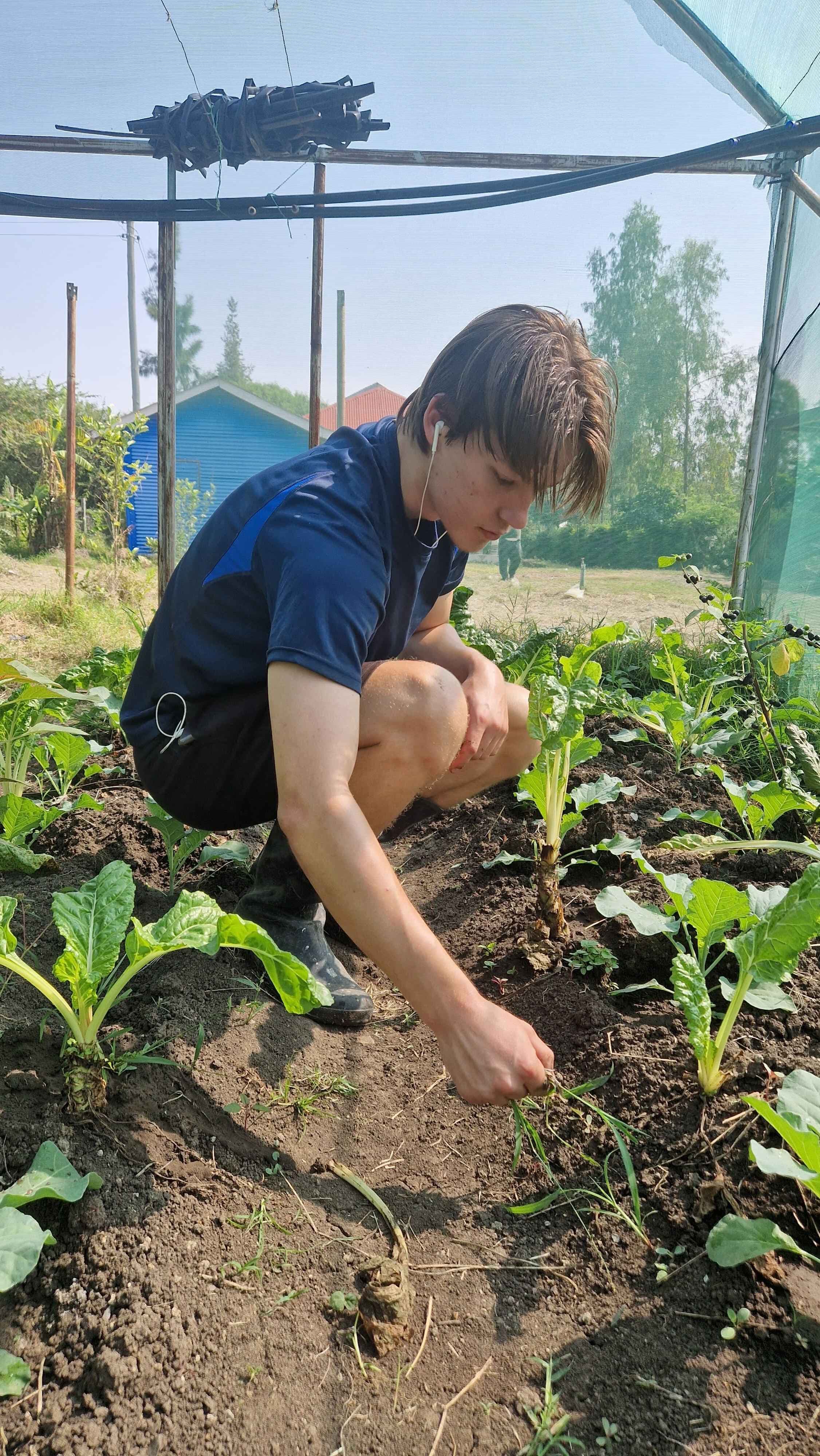 Learn farming hands-on